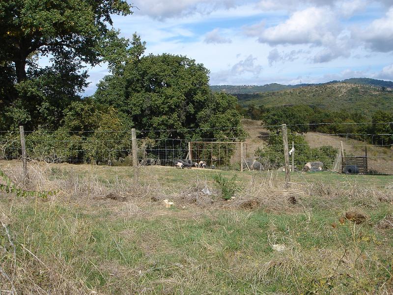 DSC02059