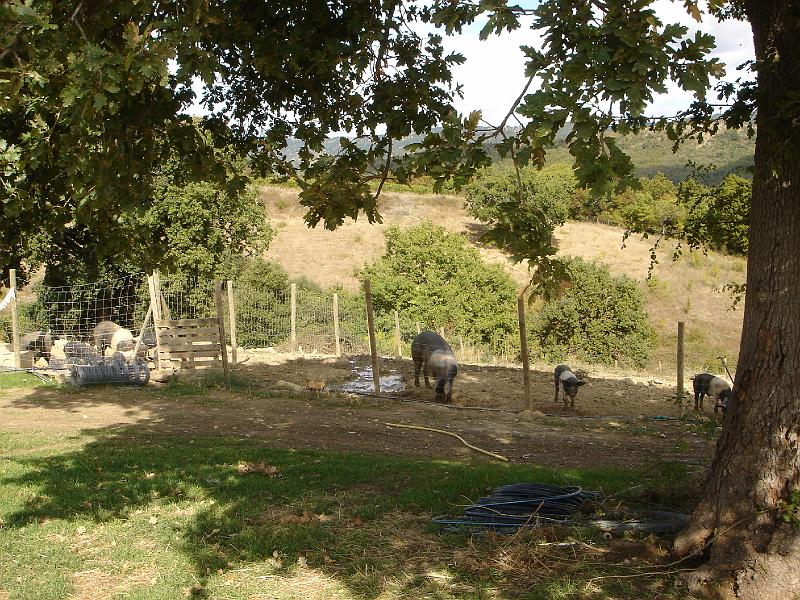 DSC02062