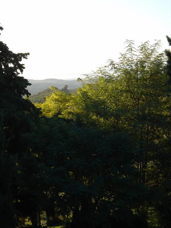 DSC02078