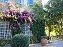 DSC02025