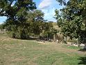 DSC02063