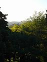 DSC02078